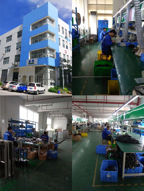 2019大岁首一，，，，，，，888官网科技保险春节港口通关工作