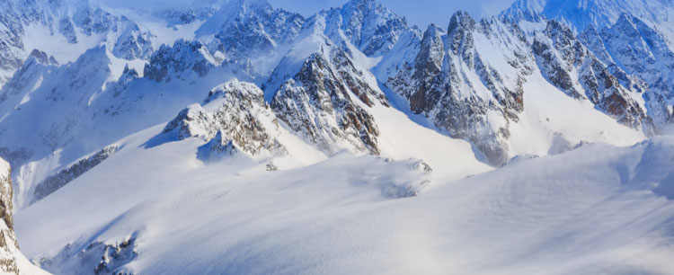 一图读懂888官网科技2022年报及2023年一季报